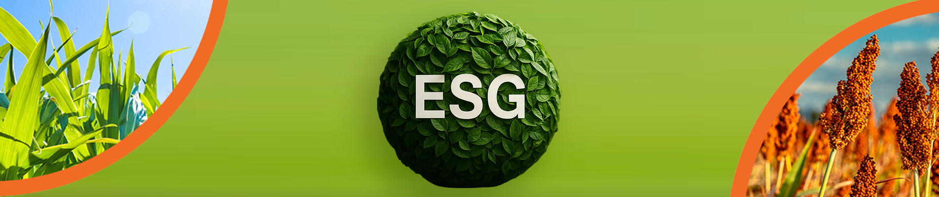 ESG